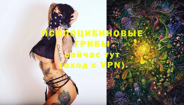 винт Беломорск