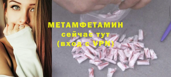 гидра Белокуриха