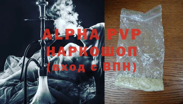 гидра Белокуриха